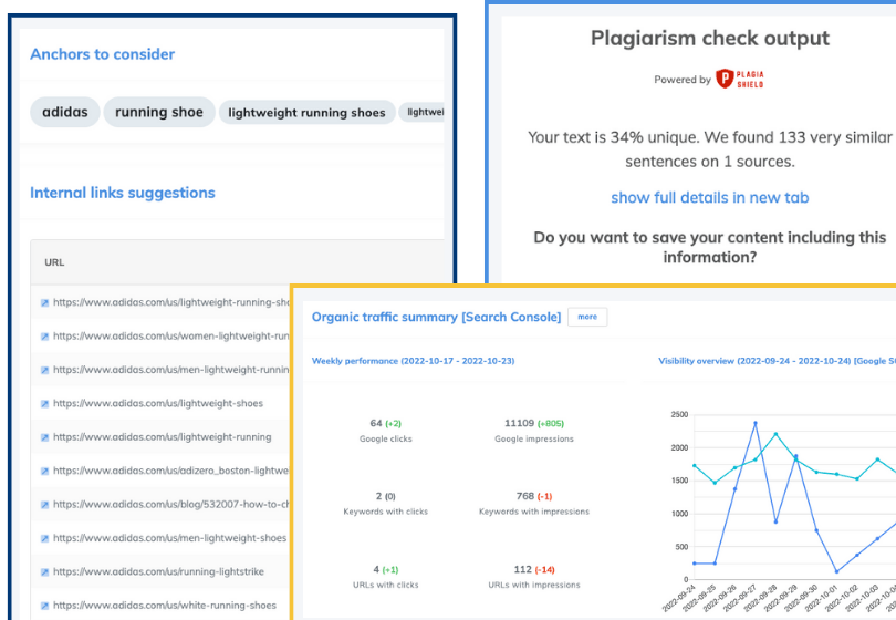 Plagiarism check, internal linking suggestions, GSC connector, reports