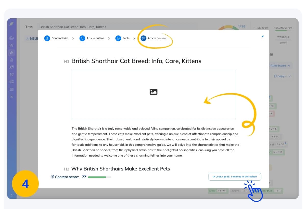 Content designer Article