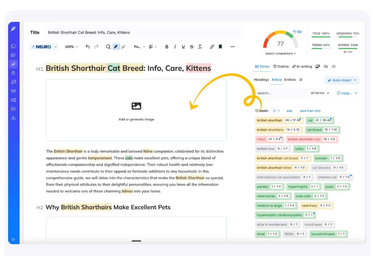 Content designer full Article in Editor