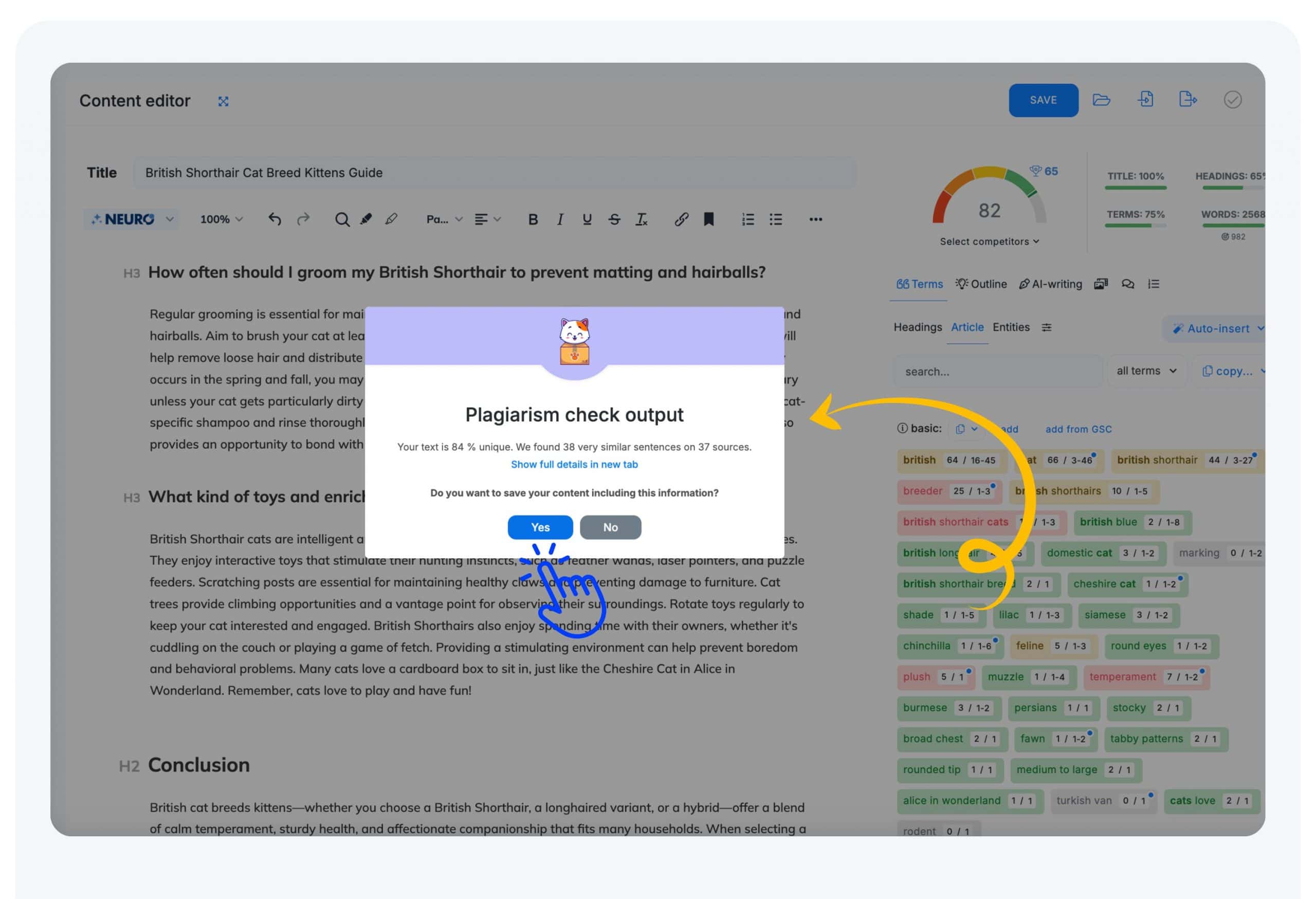 Plagia checking Neuronwriter